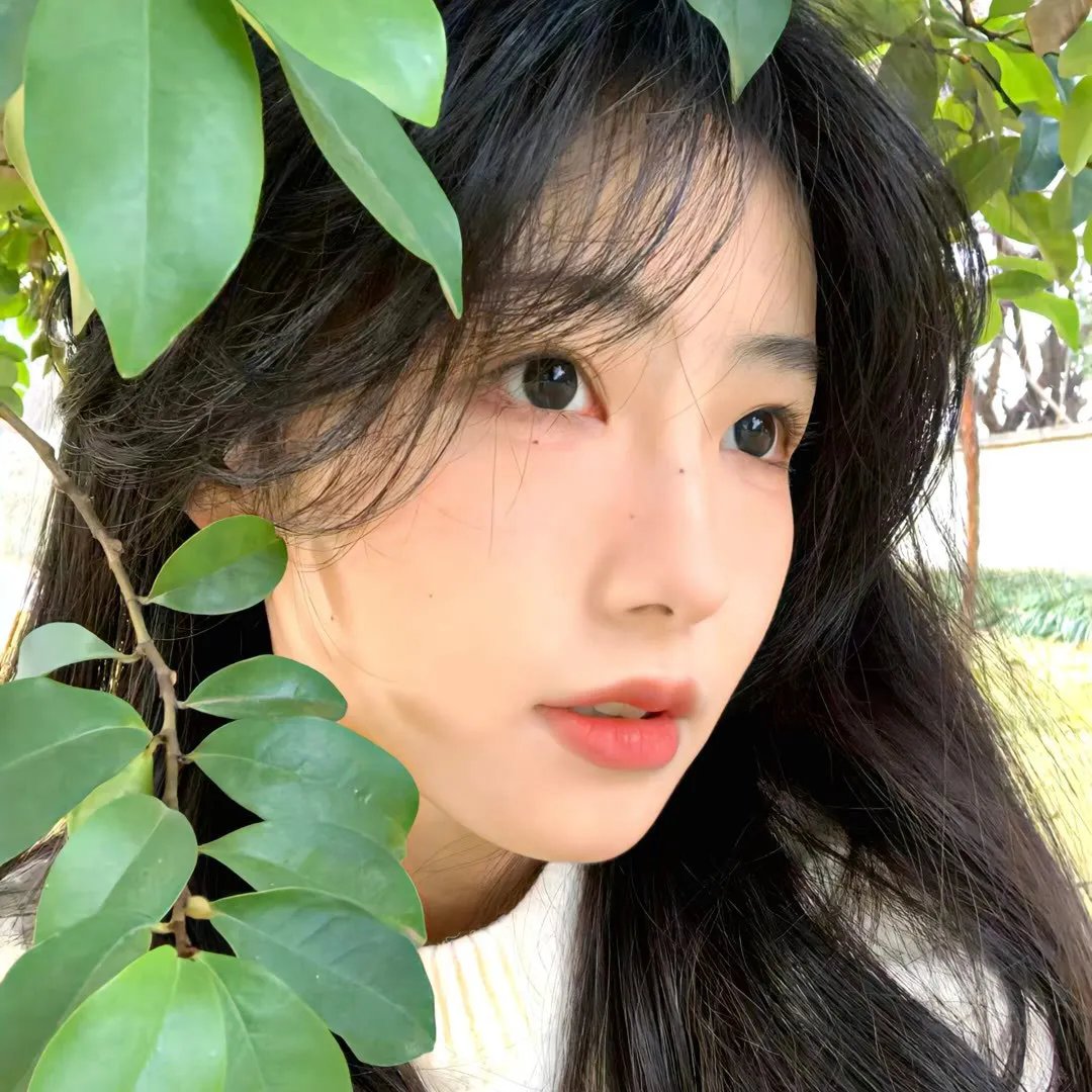 爱情发芽中